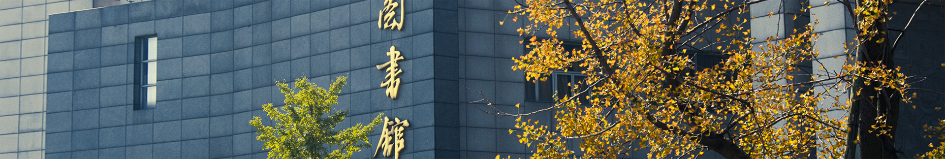 av大平台-精品av大平台官方资源发布页banner