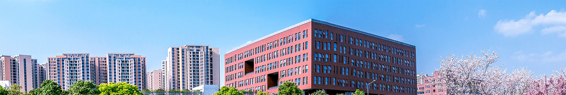 av大平台-精品av大平台官方资源发布页banner